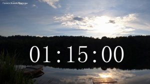 Обратный отсчет Таймер 2.5 часа. Звуки живой природы/Countdown. Timer 2.5 hours. #ГолосаЖивойПрирод