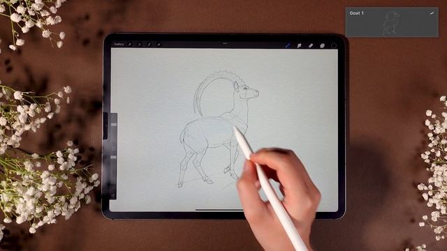 Freya's Wild Animal Drawing Templates - Brush Introduction смотреть онлайн