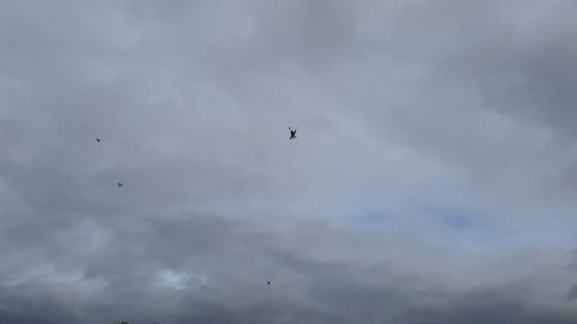 Начинаеться небольшая разминка после жары 03 09 21 года смотреть онлайн