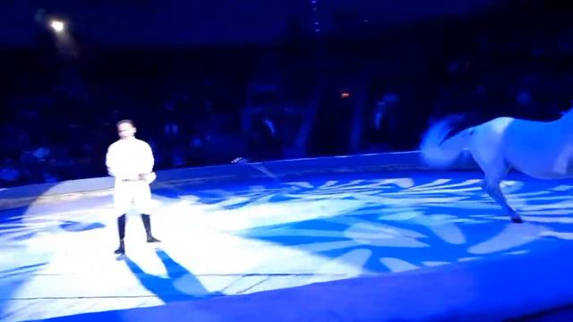 "ШОУ ДЖЕМЕЛЛИ" в Астраханском цирке // SuperStar² смотреть онлайн