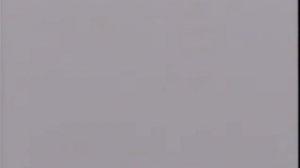 12 Социализация