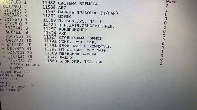 Диагностика Рено с помощью Pyren смотреть онлайн