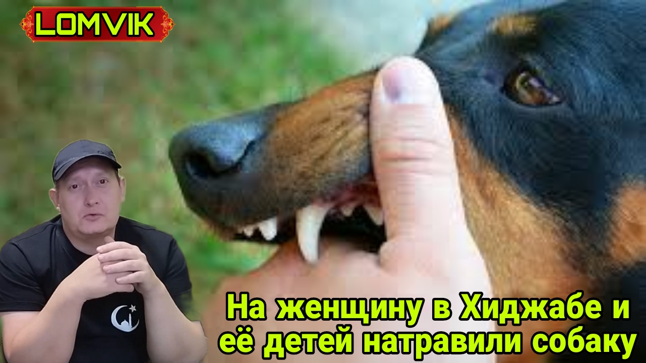 На женщину в хиджабе и её детей натравили собаку смотреть онлайн