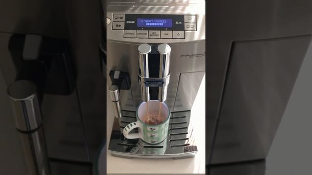 DeLonghi Prima Donna Grinding Problems Video #2 смотреть онлайн