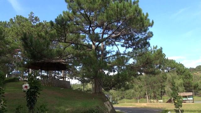 Арт-Корпорация 2014 05 Вьетнам арт-йога-тур видезарисовка смотреть онлайн