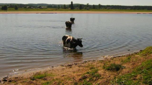 Лучшие мгновения лета на реке Юг. смотреть онлайн