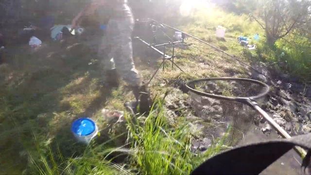 Ловим Амура на ТИГРОВЫЙ орех!!! смотреть онлайн