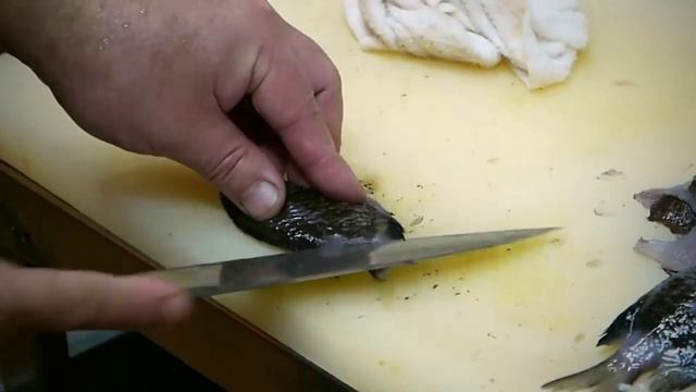 Необычные РЫБЫ / Японская ЛЕДЯНАЯ или Рыба ЛАПША / Приготовление / ЯПОНСКАЯ Кухня... смотреть онлайн