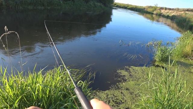 Забил на СОН и уехал на реку. Романтика утренней рыбалки смотреть онлайн