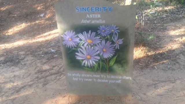 Индия III - Ауровиль • Город хиппи или очередная достопримечательность - 2014 смотреть онлайн