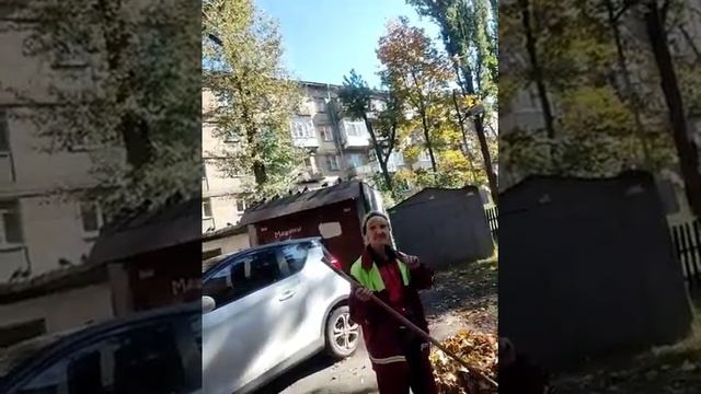 В Киеве люди собирают каштаны смотреть онлайн