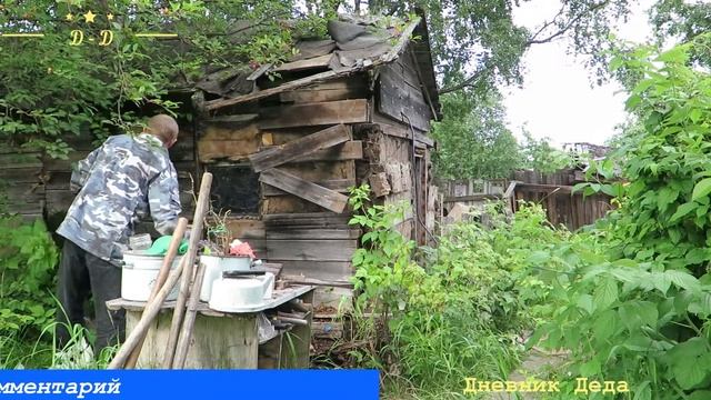 Разбираю старую БАНЮ,ДЕНЬ ВТОРОЙ, Часть 3, Жуки в стекловате,Снимаю обшивку,Процесс пошёл смотреть онлайн
