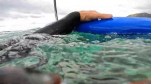 Micro wave SUP foiling /eng subs/