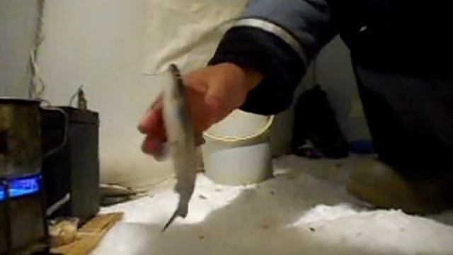 За рипусом в феврале (озеро Увильды). смотреть онлайн