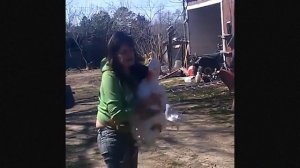 гусь радуется встрече с хозяйкой / Goose is so happy to see his friend