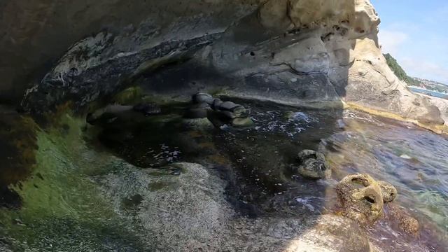 GoPro hero 10 black: summer 2022 смотреть онлайн