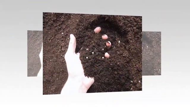 Охрана природы смотреть онлайн