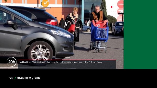 VU du 08/12/22 : "69% de vertébrés en moins..." смотреть онлайн