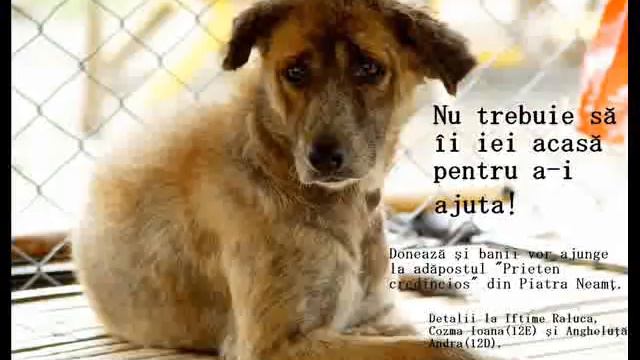 Собачье сердце смотреть онлайн