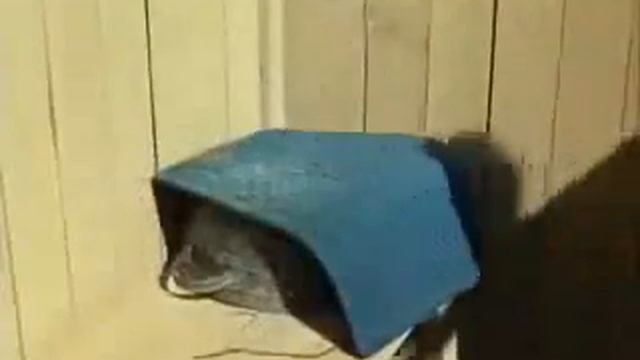 Мой нежный гель! смотреть онлайн