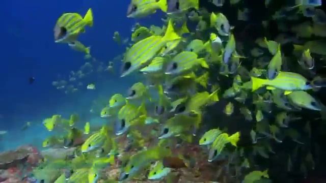 Сопереживание смотреть онлайн