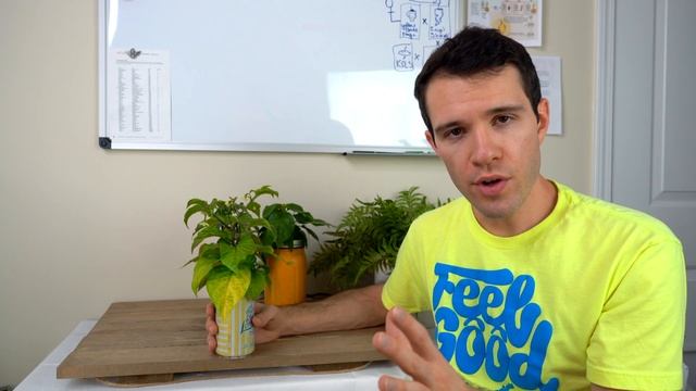 Pepper Plant Leaves Turning Yellow? Common Causes & Solutions - Pepper Geek