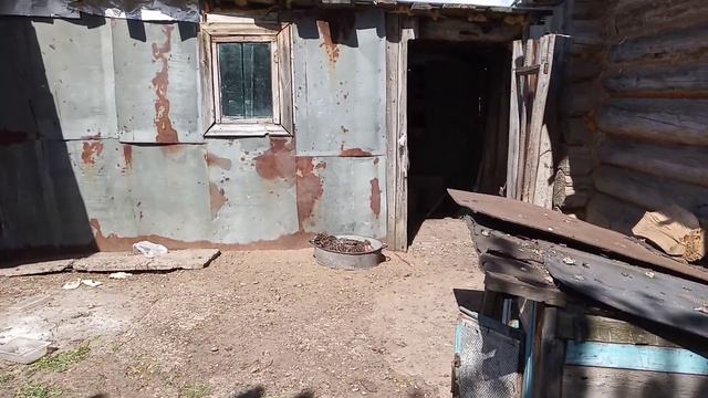 Курица умирает смотреть онлайн