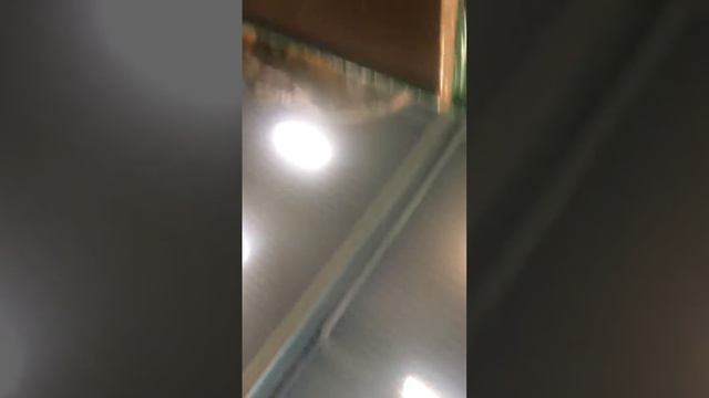 Vi er på leos lekeland del2 смотреть онлайн