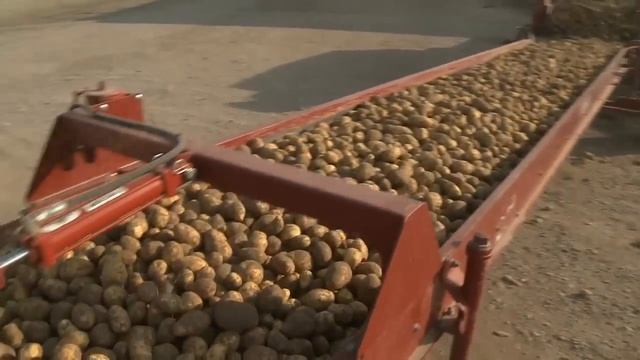 Potato Storage Equipment смотреть онлайн