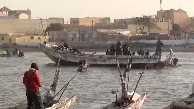 Les Conventions locales, outils de gouvernance locale des ressources halieutiques au Sénégal смотреть онлайн