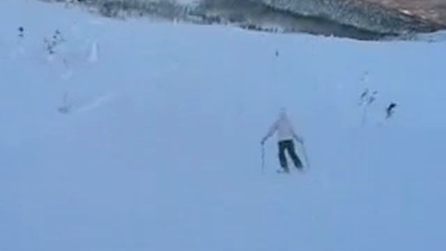 трюсильеза.flv смотреть онлайн