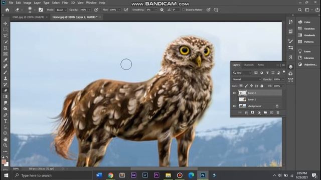 Mythical Creatures Photoshop combining animals, photo manipulation. смотреть онлайн
