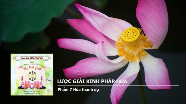 [LƯỢC GIẢI KINH] P.8/28 KINH PHÁP HOA, PHẨM 7: HÓA THÀNH DỤ - HT. TRÍ QUẢNG. смотреть онлайн