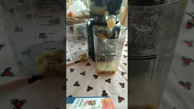 SILVERCREST Slow Juicer SSJK 300 A1 смотреть онлайн