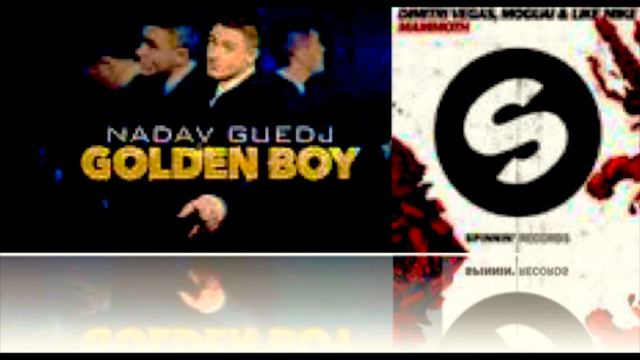 Nadav Guedj - Golden boy Remix (Dj N remix) смотреть онлайн