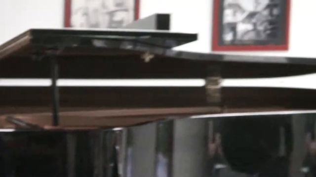 20120621 -p34. Il fagotto accompagnato dal pianoforte смотреть онлайн