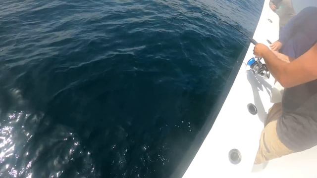 BIG GAME HUNTING | Yellowfin Tuna in the Gulf of Mexico + DIY Decking Install смотреть онлайн