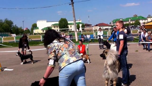 Best юниоров mono молоссы Орша 2016 смотреть онлайн