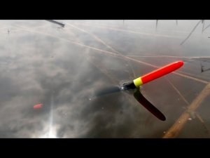 ОНО КЛЮНУЛО НА УДОЧКУ  ЛЮТЫЙ ЖОР РЫБЫ НА ПОПЛАВОК!!! РЫБАЛКА НА ПОПЛАВОЧНУЮ УДОЧКУ