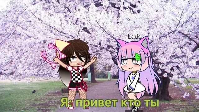 Meme кто мардер или не знаю как называется мем смотреть онлайн