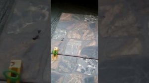 Быстрый способ укладки плитки на неровный пол..