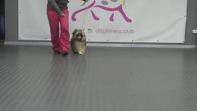 Freziya Veseliy Gremlin смотреть онлайн