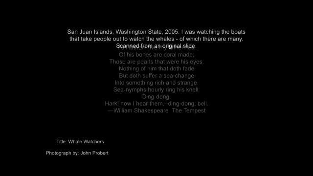 Slideshow 6 LondonPhotoFestival At The Cutty Sark Collaboration With Ensemble Perpetuo