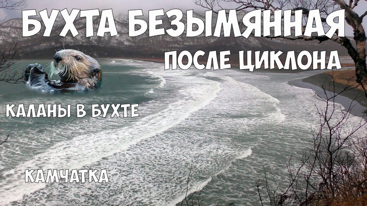 Камчатка Бухта Безымянная после циклона смотреть онлайн