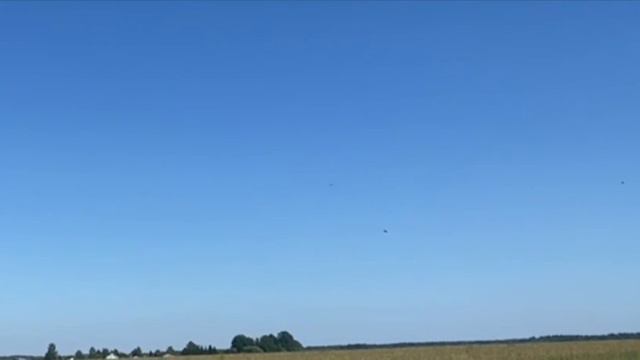 Перехватчик БПЛА «Осоед»