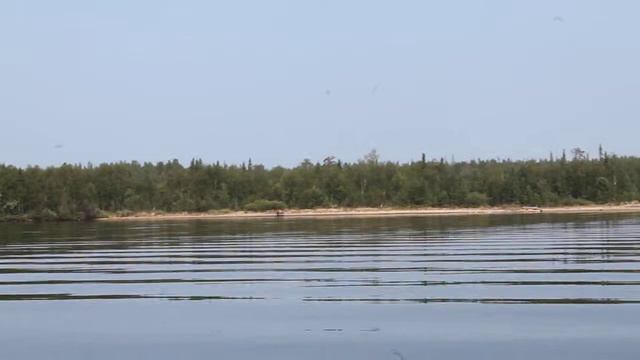 Озеро Колозеро. Встреча с медведем. смотреть онлайн