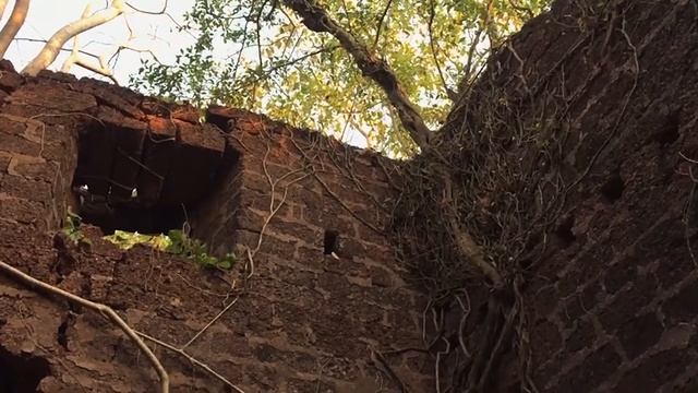 Владимир Горохов. Трансмедитация (тета хилинг медитация) - счастье смотреть онлайн