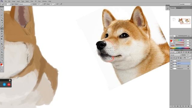 Рисуем собаку-рыцаря в Adobe Photoshop смотреть онлайн