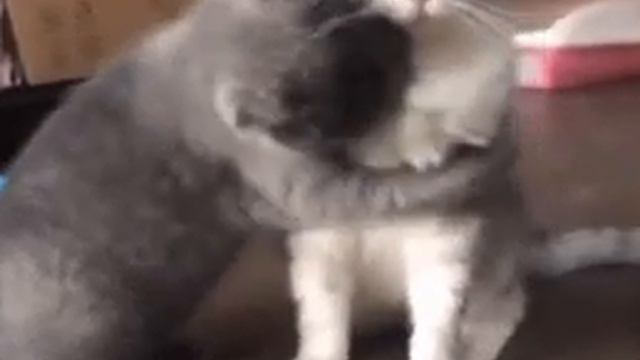 💓моя однакластница лезет ко мне💓 смотреть онлайн