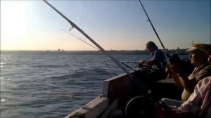 МОРСКАЯ РЫБАЛКА В СЕВАСТОПОЛЕ